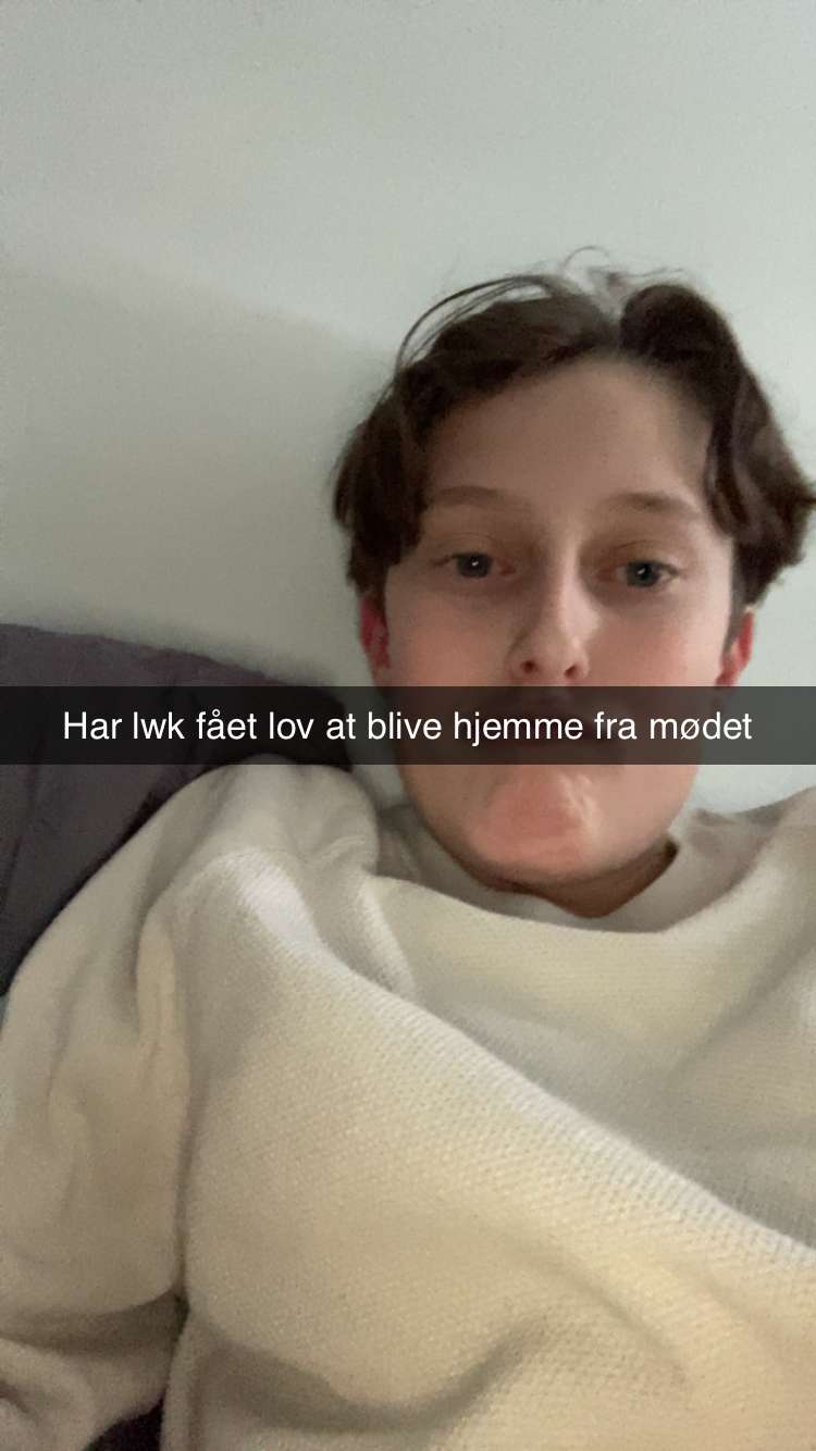 Alexander portræt